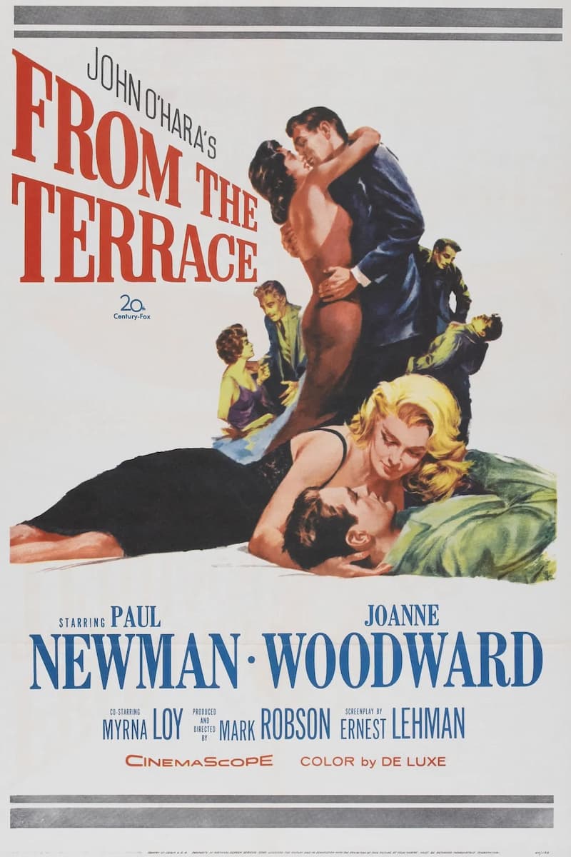 Poster for From the Terrace